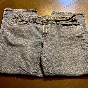 Cato Jeans Premium 18WP Plus Size Comfort Style Durable Excellent Condition